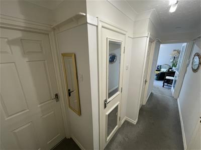 Picture 5